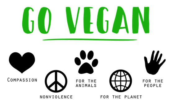 Go vegan | Bild: Mittmac, pixabay.com, Pixabay License
